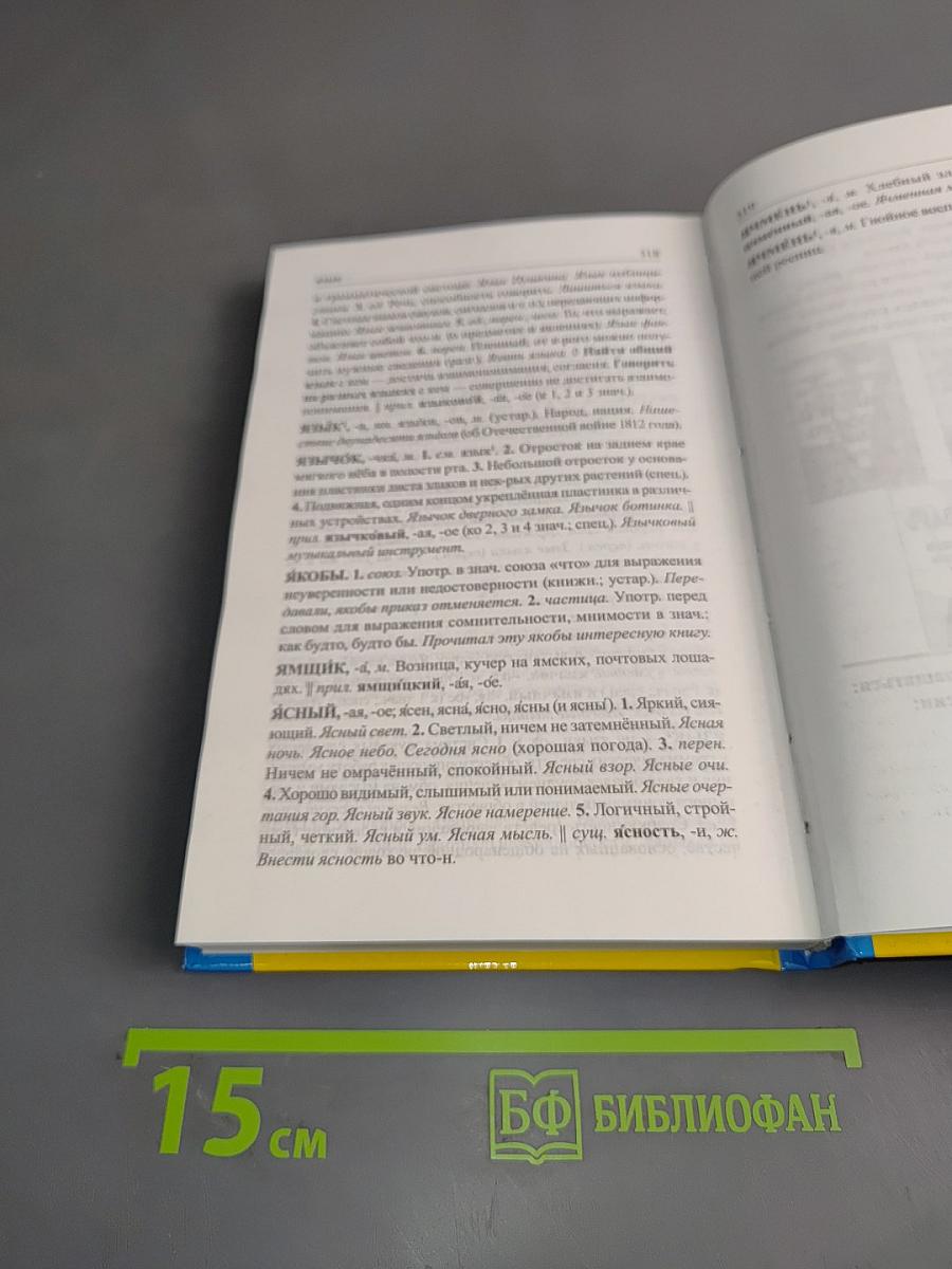 Школьный толковый словарь русского языка