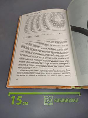 С фото-аппаратом за синей птицей