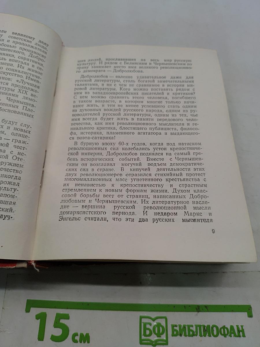 Николай Александрович Добролюбов. Жизнь замечательных людей