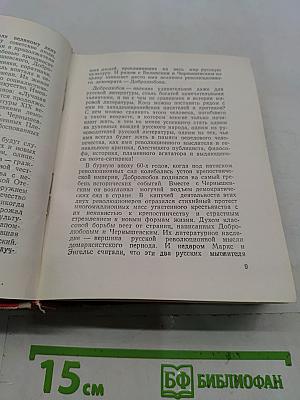 Николай Александрович Добролюбов. Жизнь замечательных людей