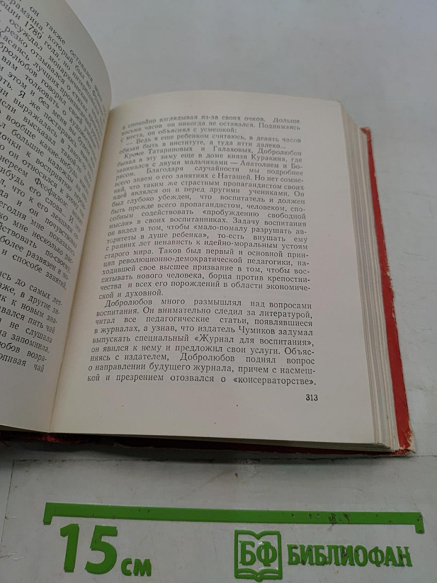 Николай Александрович Добролюбов. Жизнь замечательных людей