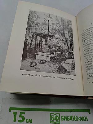 Николай Александрович Добролюбов. Жизнь замечательных людей