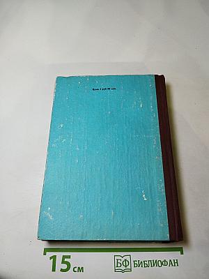 Остров сокровищ; Черная стрела