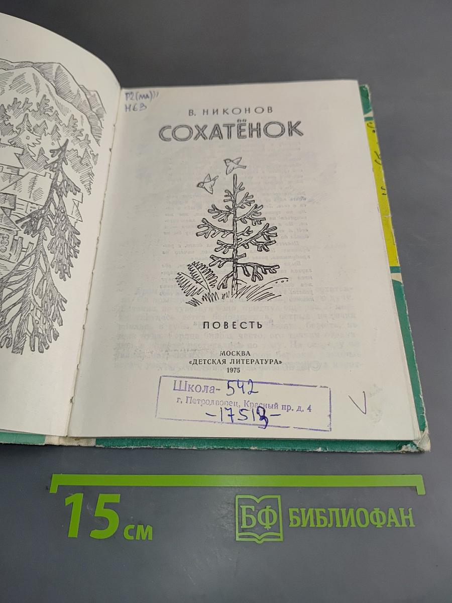 Сохатенок