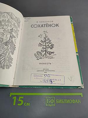 Сохатенок