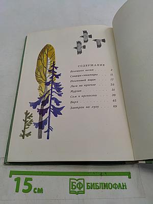 Весенняя песня