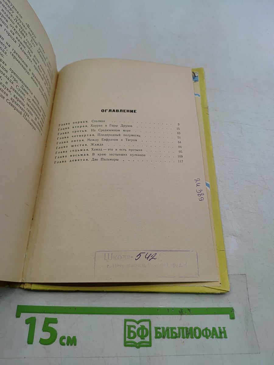 Путешествие в Пальмиру