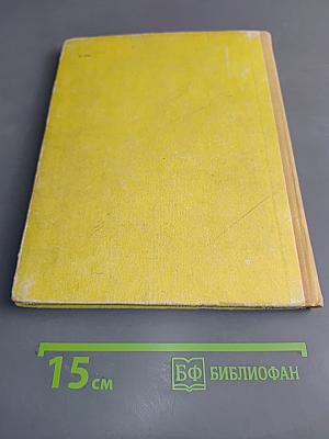 Ватага из Сан Лоренцо