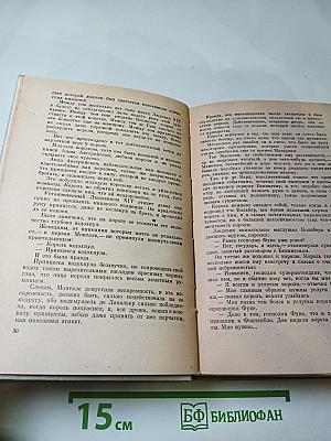 Виконт де Бражелон, или Десять лет спустя. Части 3, 4