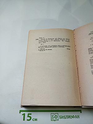 Виконт де Бражелон, или Десять лет спустя. Части 3, 4