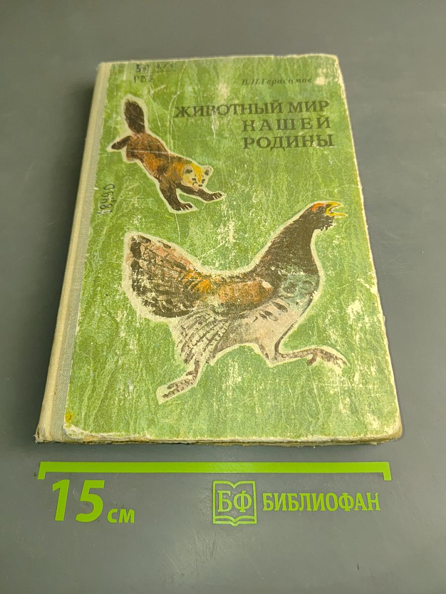 Животный мир нашей родины