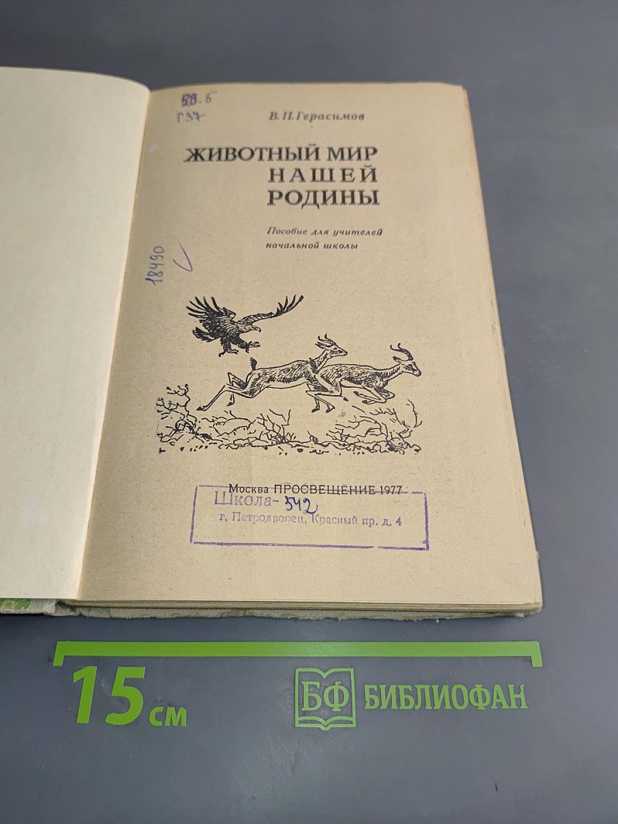 Животный мир нашей родины