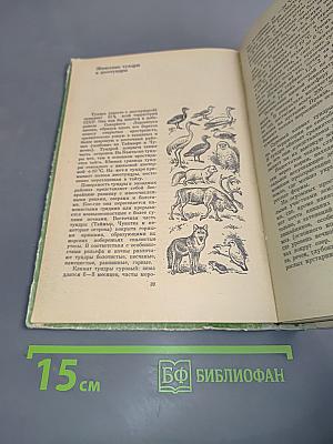 Животный мир нашей родины