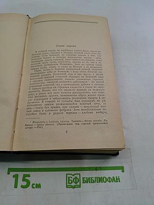 На горах. Книга вторая