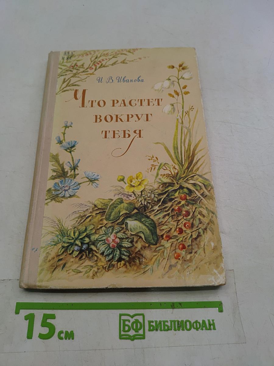 Что растет вокруг тебя. Определитель растений. Пособие для учащихся V-VI классов