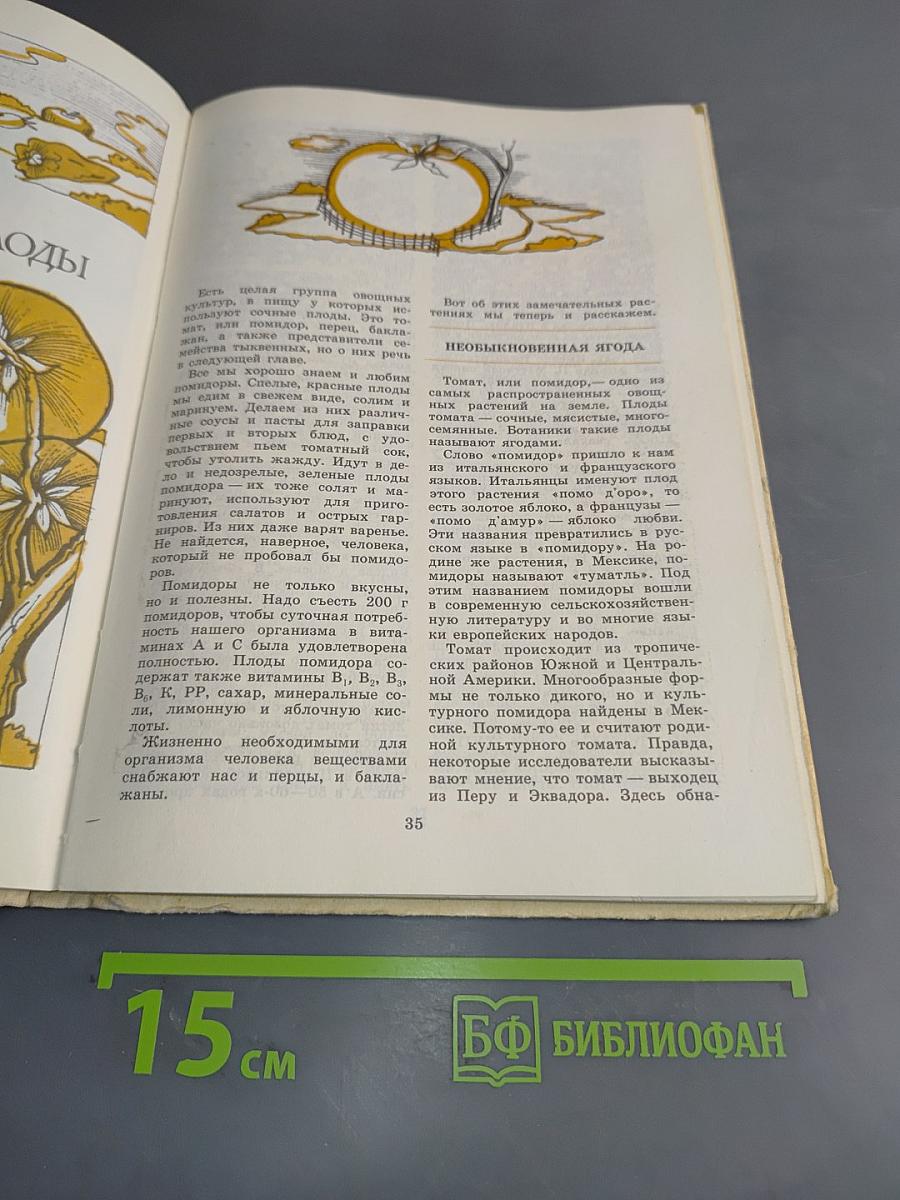 Юным овощеводам