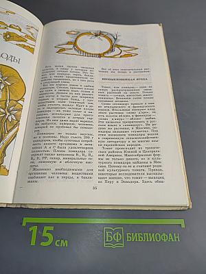 Юным овощеводам