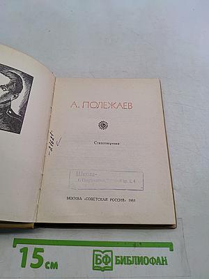 Поэтическая Россия. Стихотворения