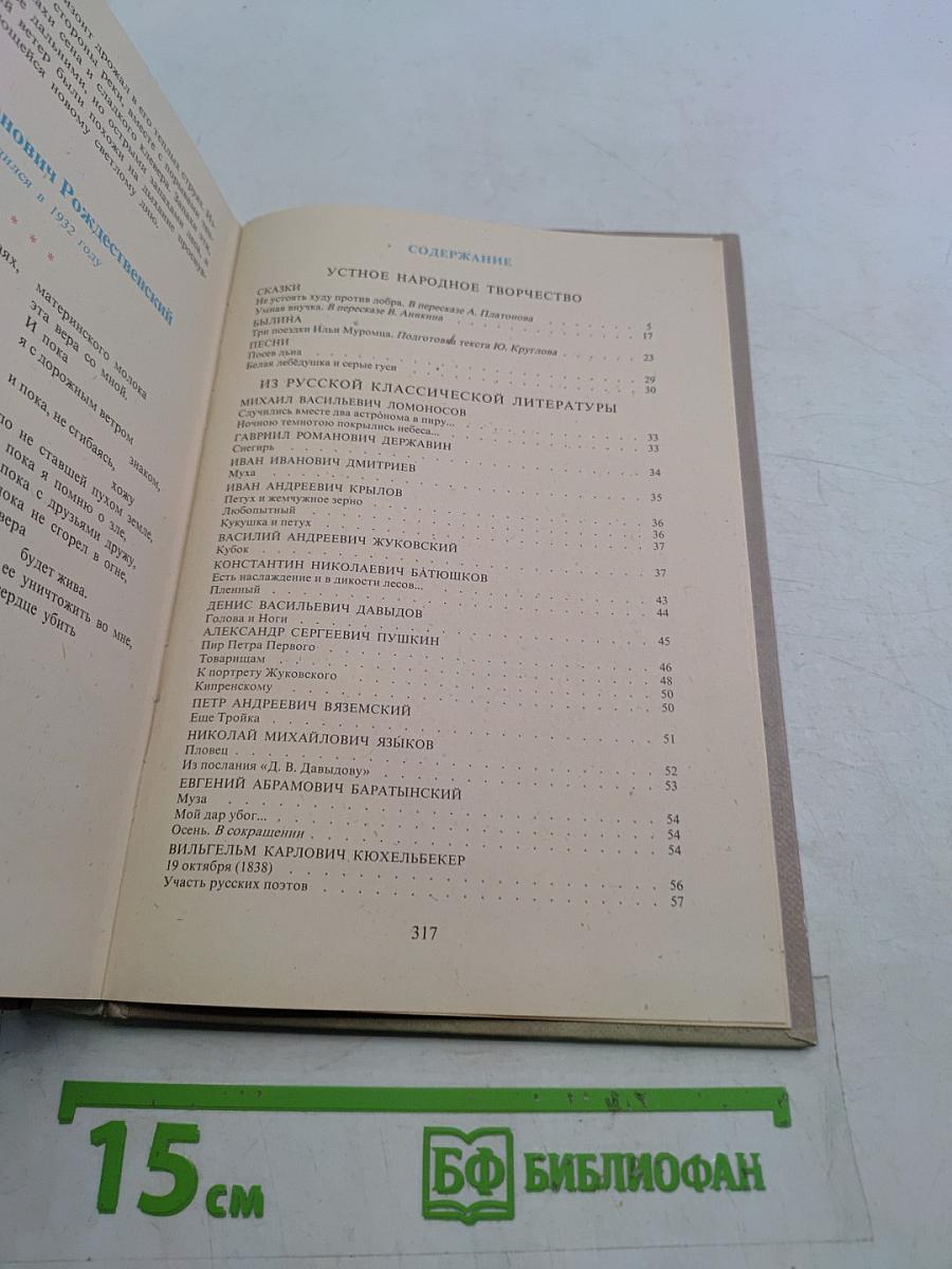 В мире русской литературы. Книга для внеклассного чтения. 6 класс