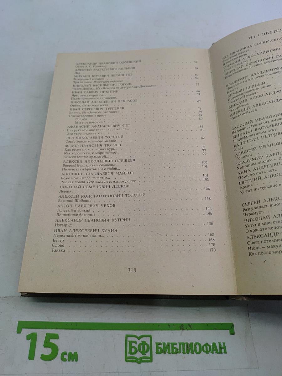 В мире русской литературы. Книга для внеклассного чтения. 6 класс