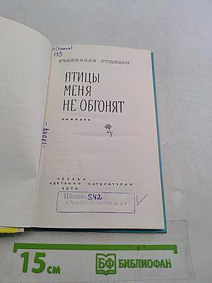 Птицы меня не обгонят