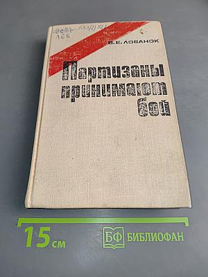 Партизаны принимают бой
