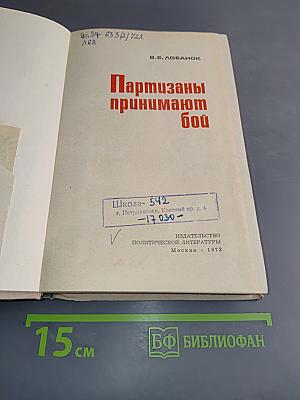 Партизаны принимают бой