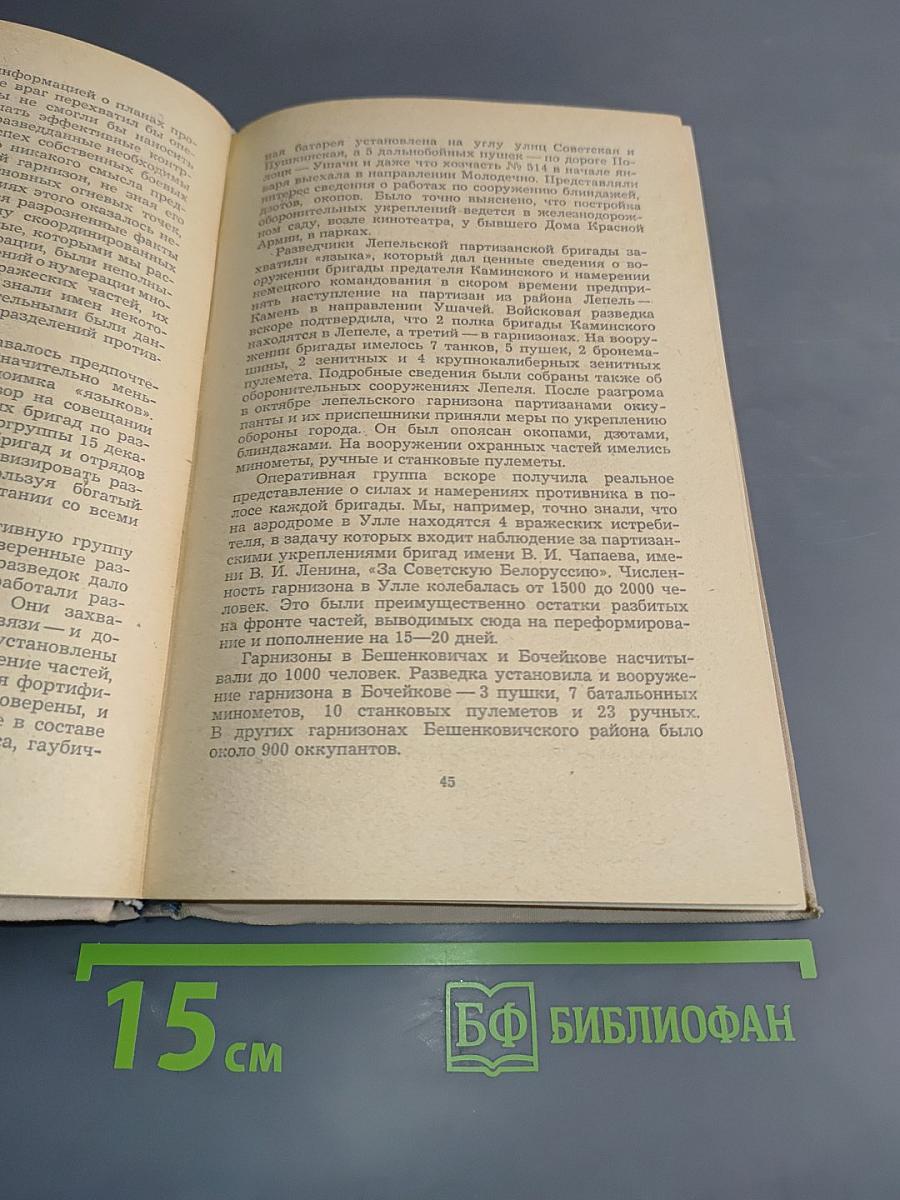 Партизаны принимают бой
