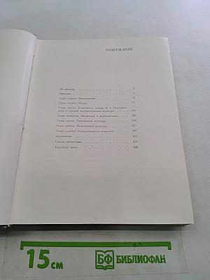 Очерки истории русской культуры второй половины XIX века