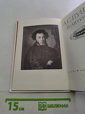О литературе