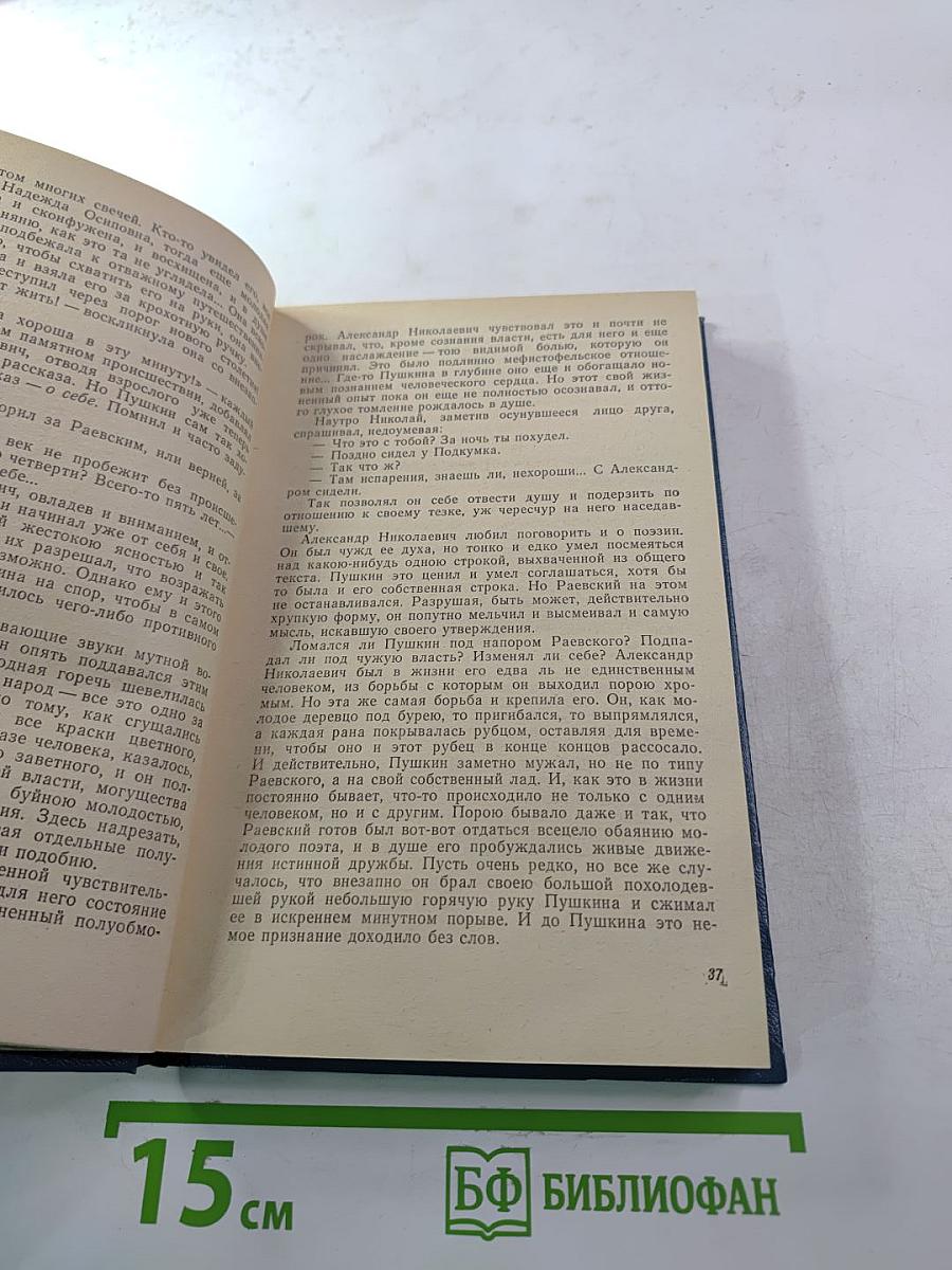 Пушкин на Юге