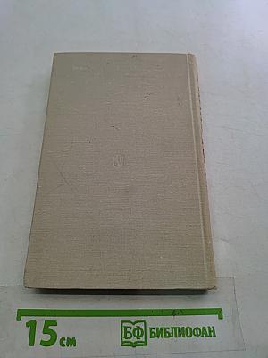 Изучение литературного произведения в школе