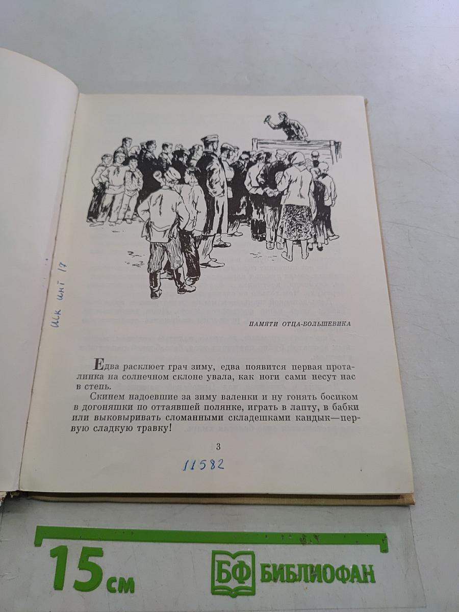 Грозовая степь