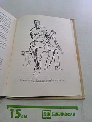 Грозовая степь