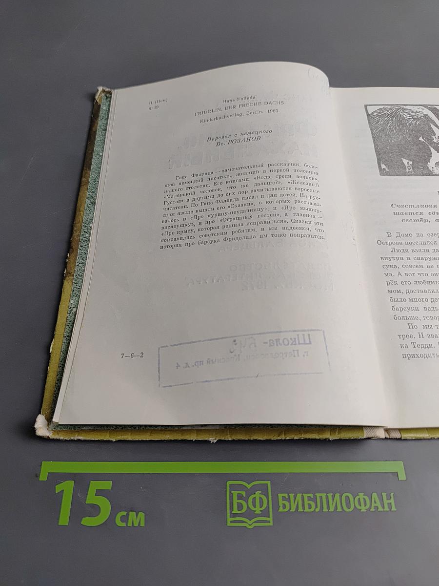 Фридолин, начальник барсучок
