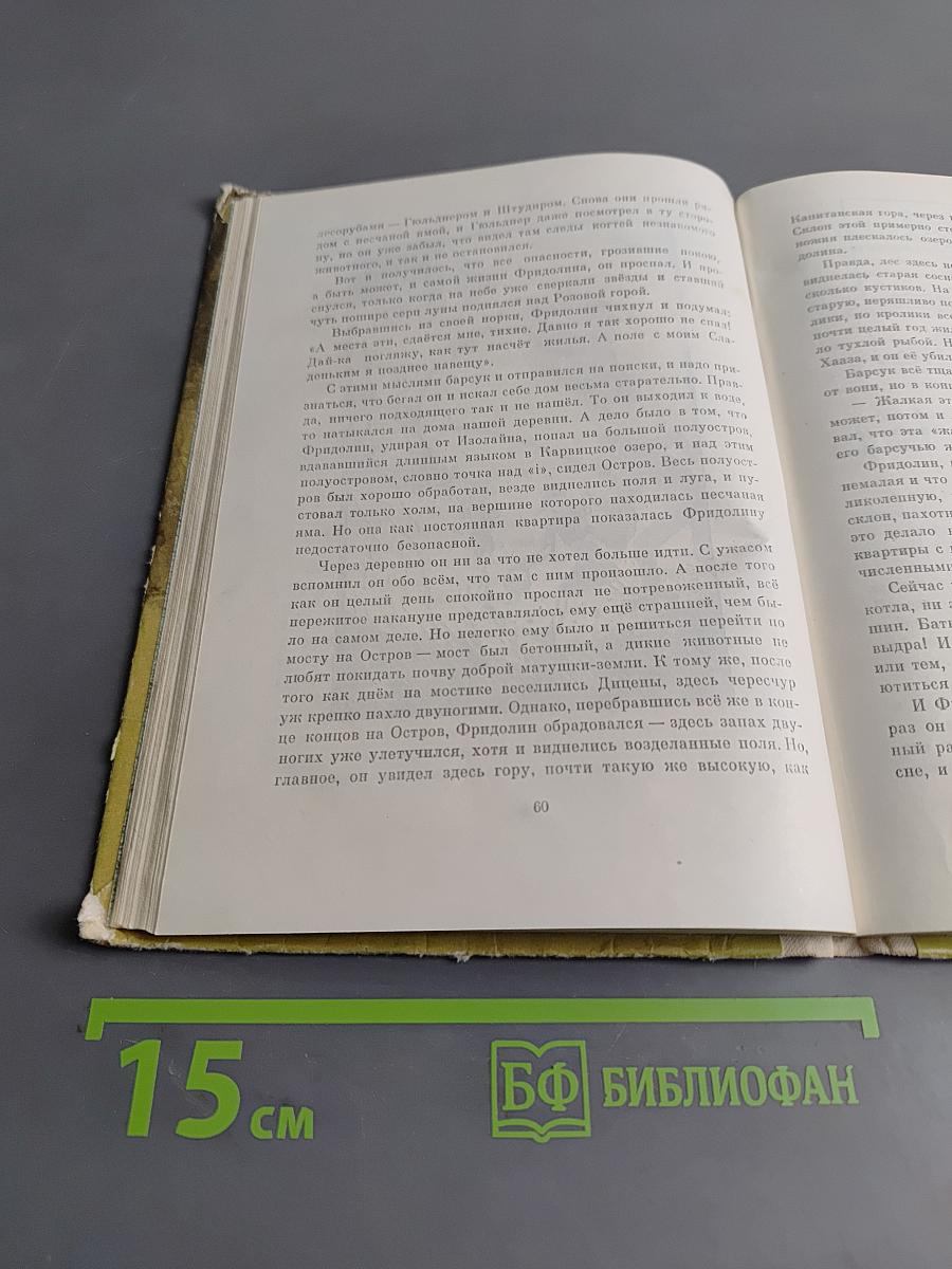Фридолин, начальник барсучок
