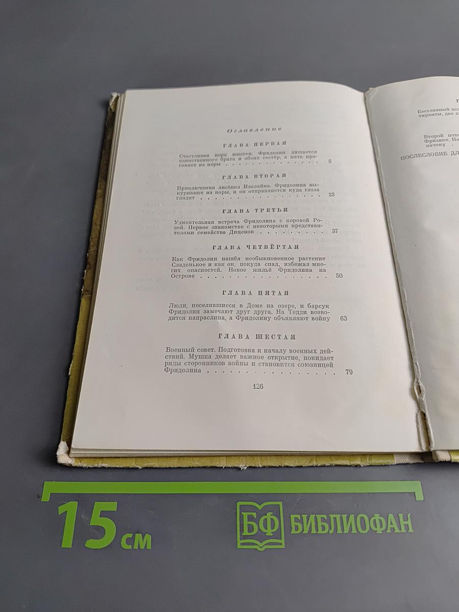 Фридолин, начальник барсучок