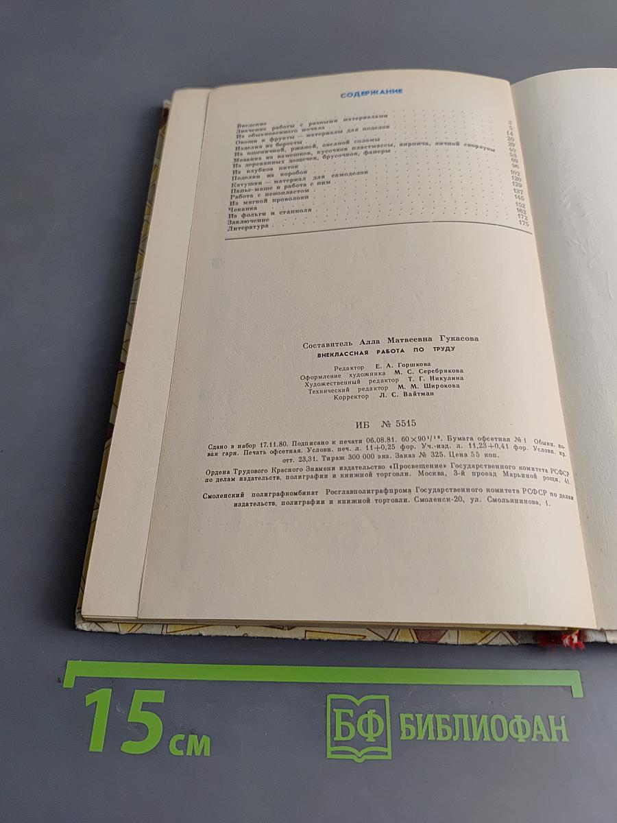 Внеклассная работа по труду
