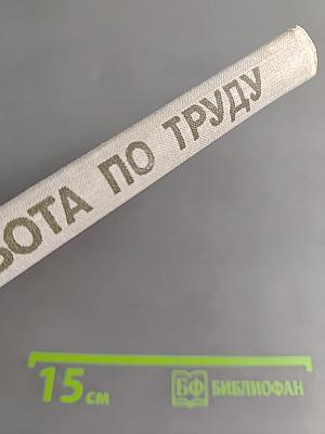 Внеклассная работа по труду