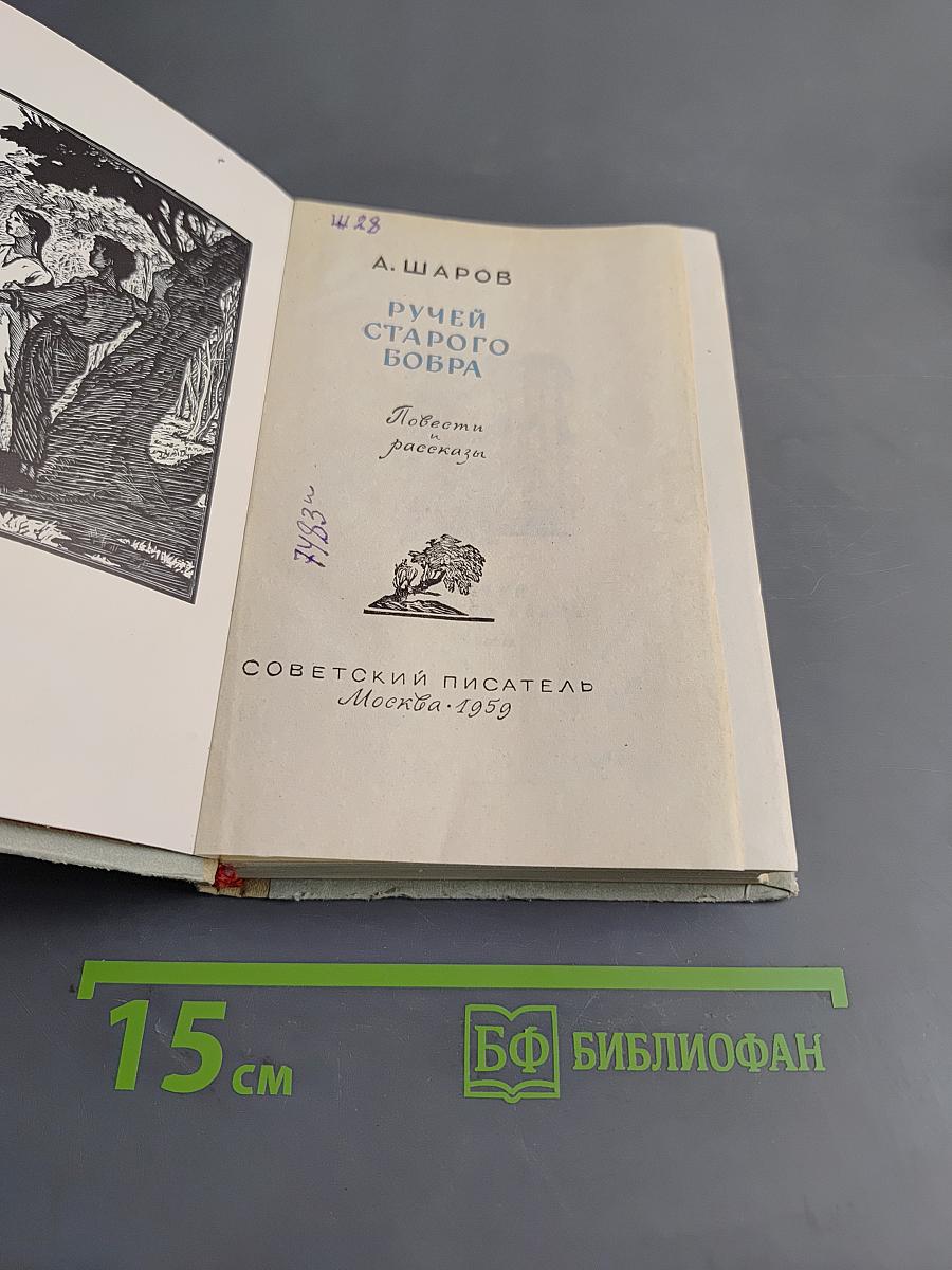 Ручей старого бобра