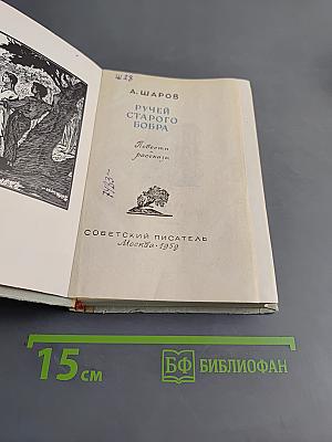 Ручей старого бобра