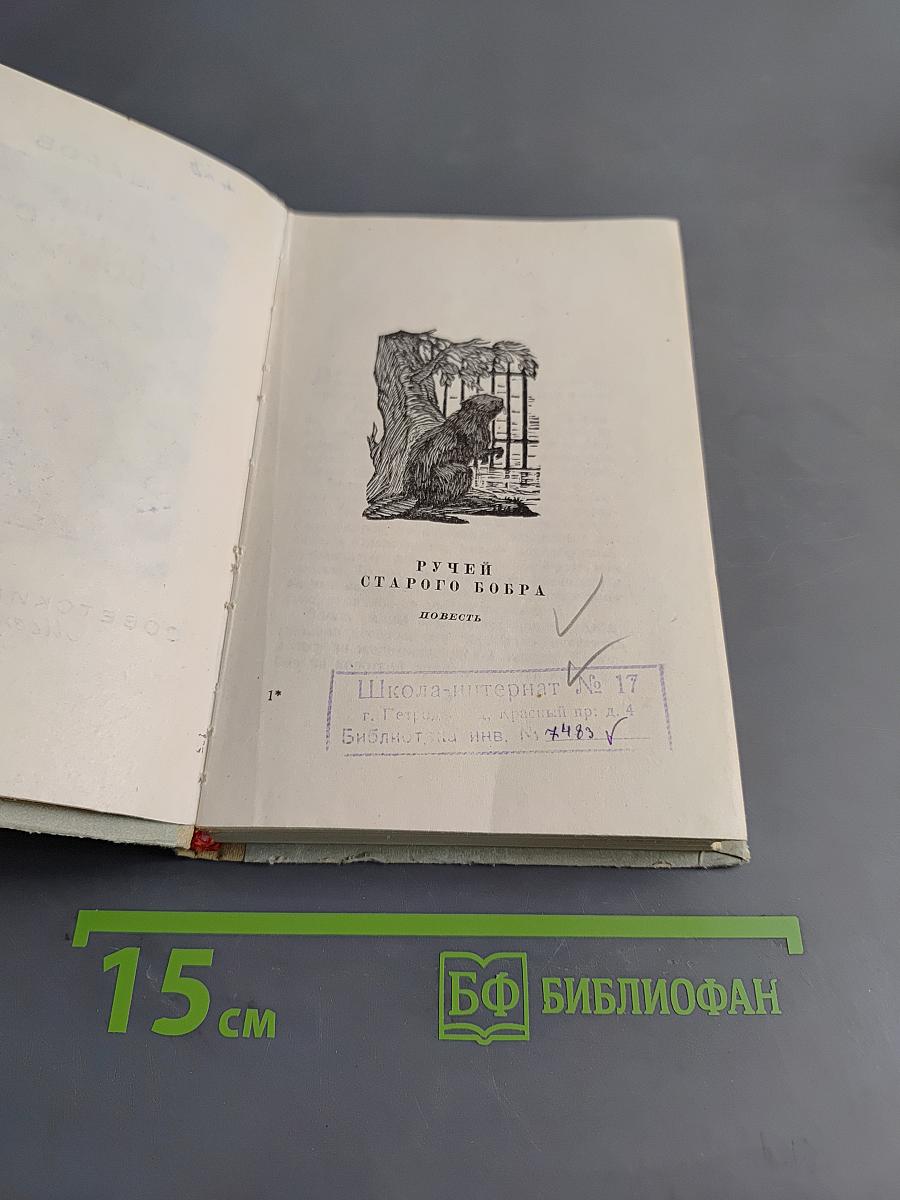 Ручей старого бобра