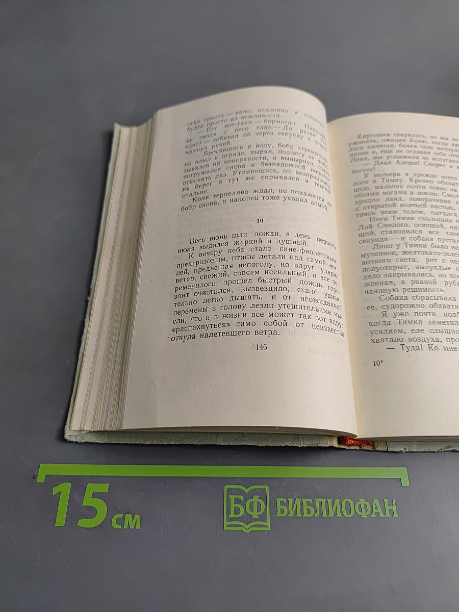 Ручей старого бобра