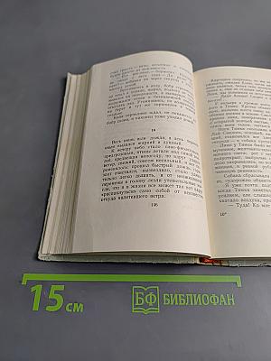 Ручей старого бобра