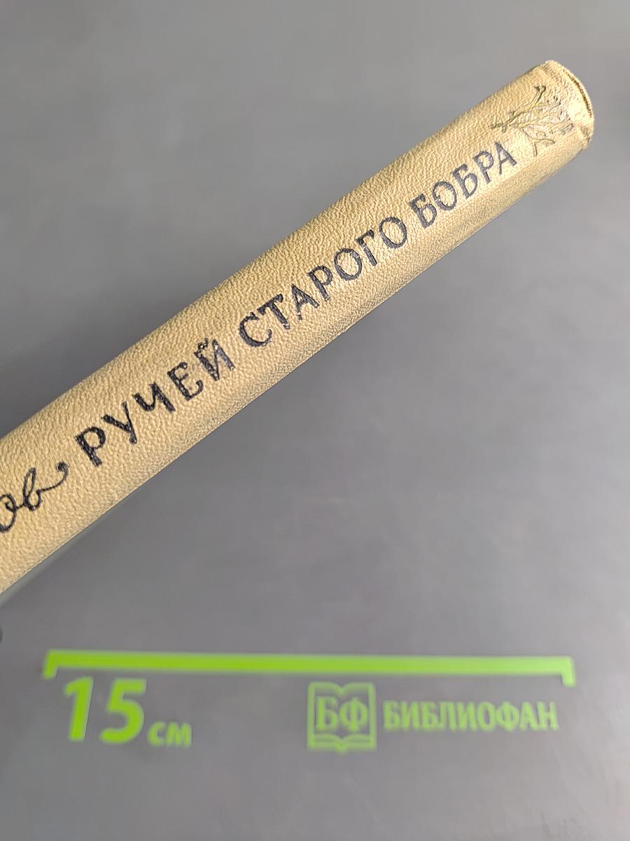 Ручей старого бобра