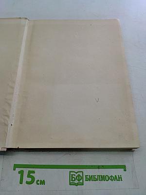 Повесть о художнике Федотове