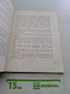 Повесть о художнике Федотове