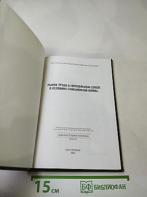 Рынок труда в Европейском союзе в условиях санкционной войны