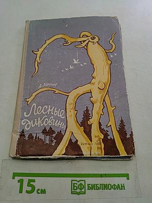 Лесные диковины