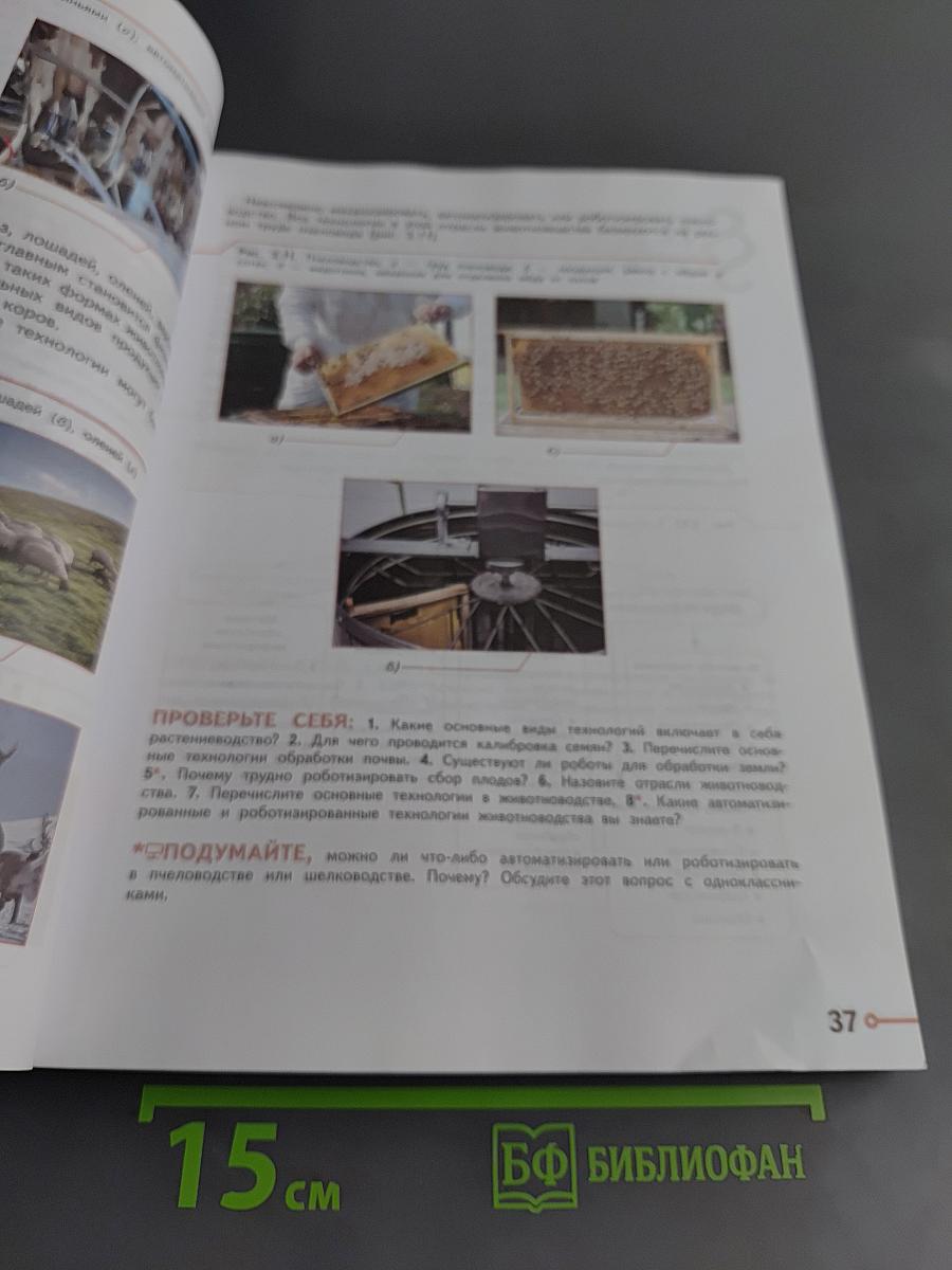 Технология. 8-9 классы
